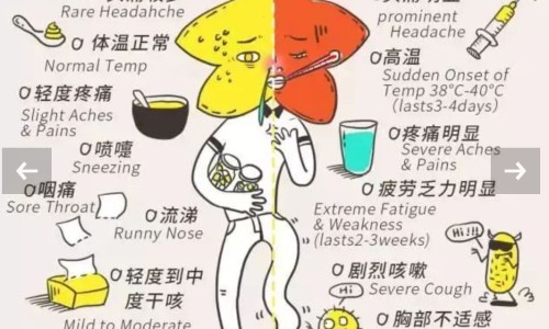 肺癌吃啥中药好-肺癌吃什么中药最补网肺癌吃什么中药最补身体知识网站,分享肺癌吃什么中药最补充营养大全