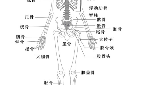 肺癌吃什么中药最补充营养-肺癌吃什么中药最补网肺癌吃什么中药最补身体知识网站,分享肺癌吃什么中药最补充营养大全
